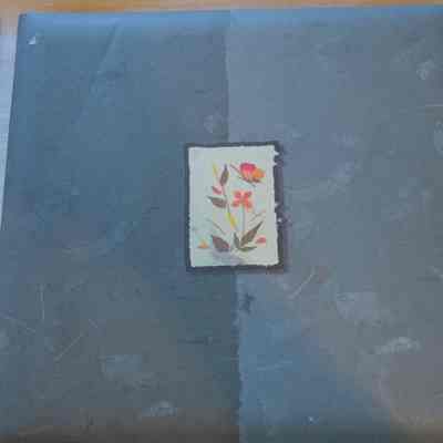 San de Fuca schoolhouse Scrapbook