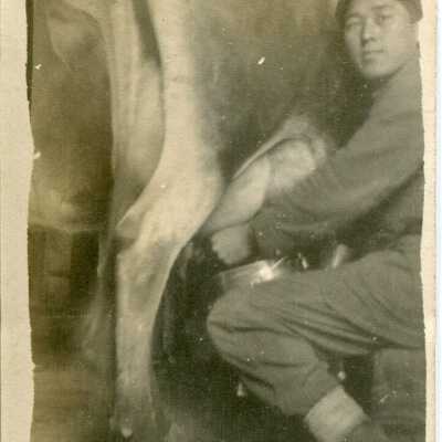 Print, Photographic