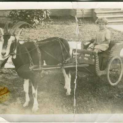 Photograph