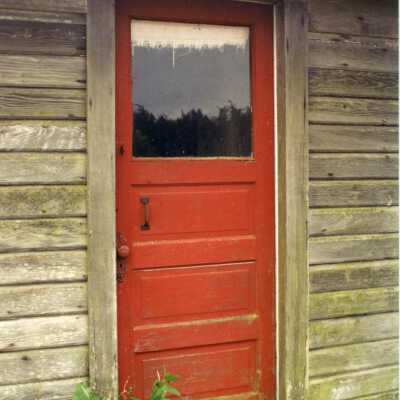 Photograph