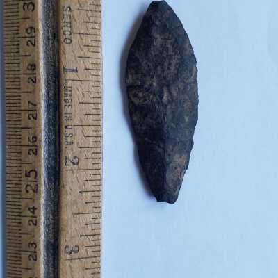 Arrowhead