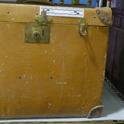 Trunk