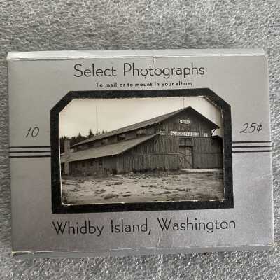 Album, Photograph