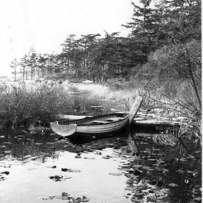 Lake Shore