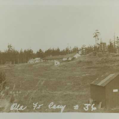 Postcard, Photographic