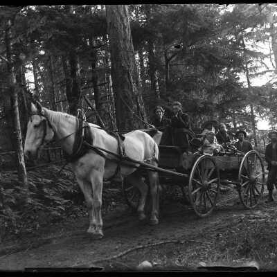 Family in Horse-Drawn Wagon