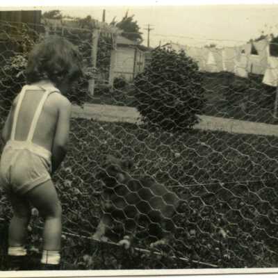 Print, Photographic