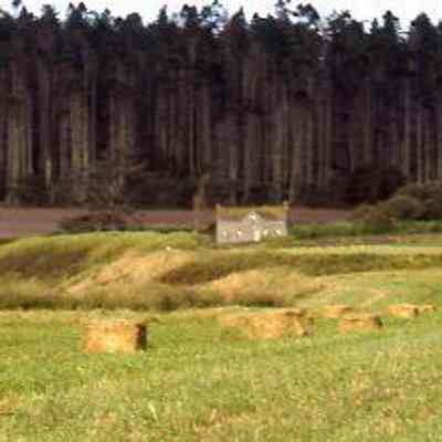 Ebey's Prairie and Trees