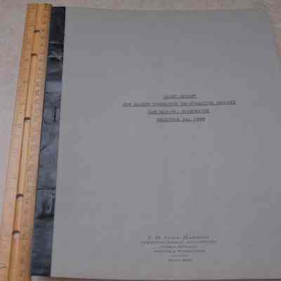 Audit Statement