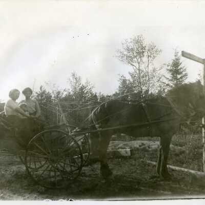 Photograph