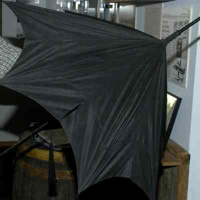 Parasol