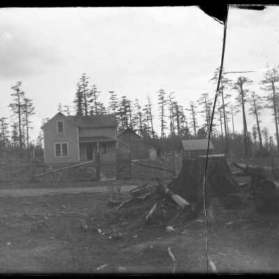 House with tree stump in foreground: Origsize: 4x5; Origformat: Negative