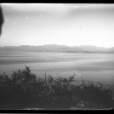 Negative, Glass-plate