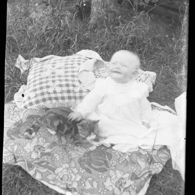 Negative, Glass-plate