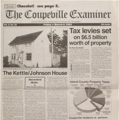 Newspaper
