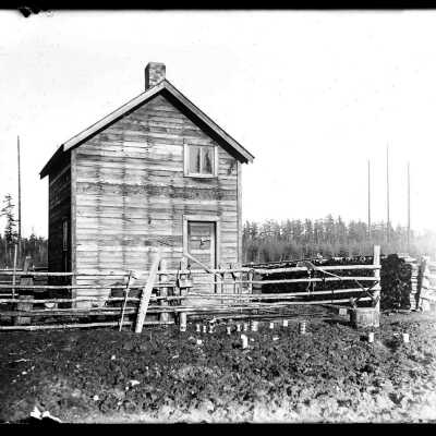 Ed Stark's Cabin, Hastie Lake Road: Origformat: Negative