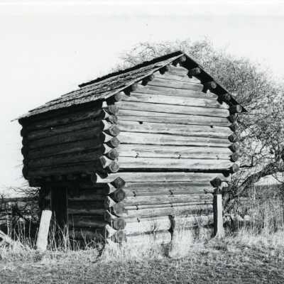 Photograph