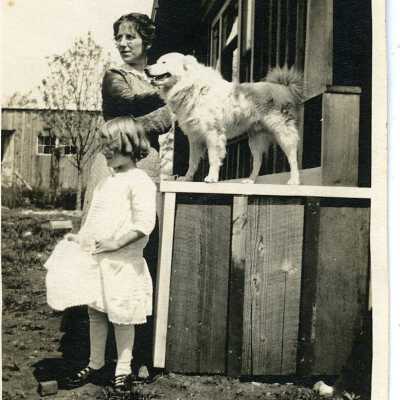 Photograph