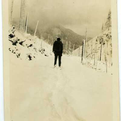 Print, Photographic