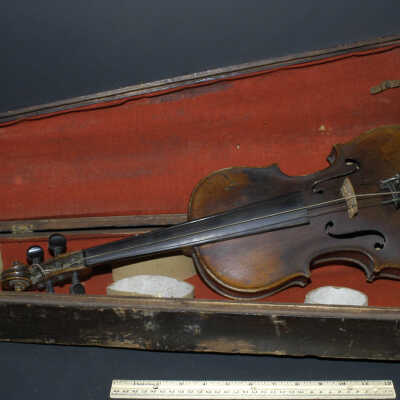 Violin