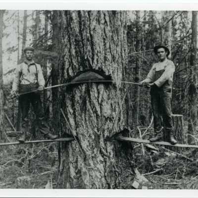 Logging