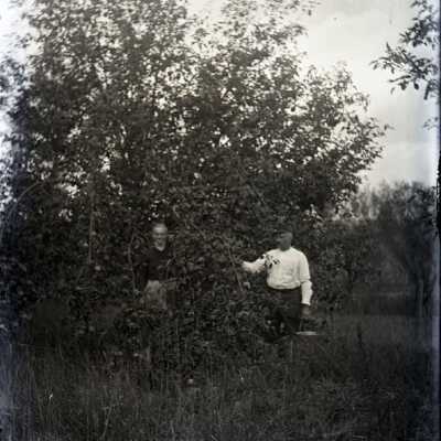 Origformat: Negative
