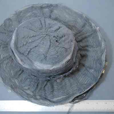 Black Lace Hat