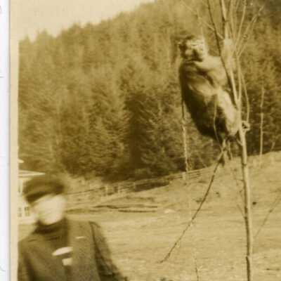 Print, Photographic