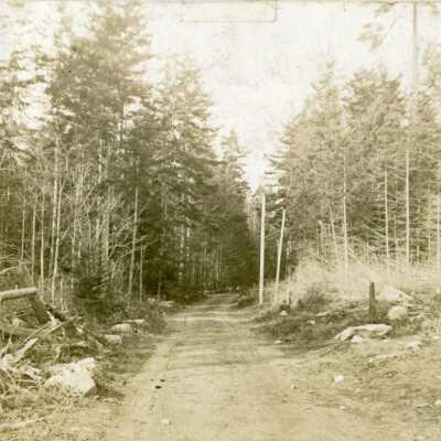 Postcard, Photographic