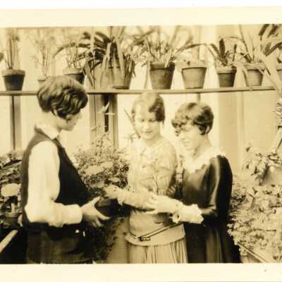 Print, Photographic