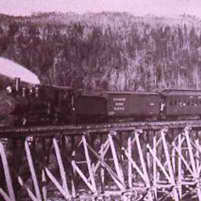 Train on Raised Wooden Railway