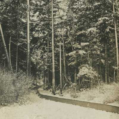Postcard, Photographic