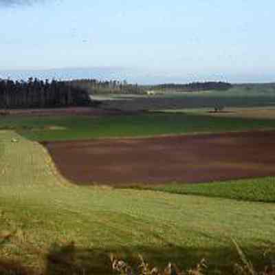 Ebey's Prairie