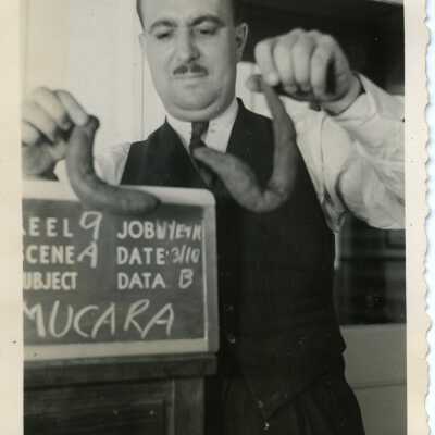 Print, Photographic
