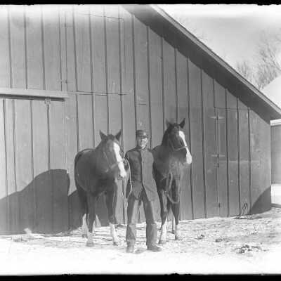 Man holding two horses: Origsize: 4x5; Origformat: Negative