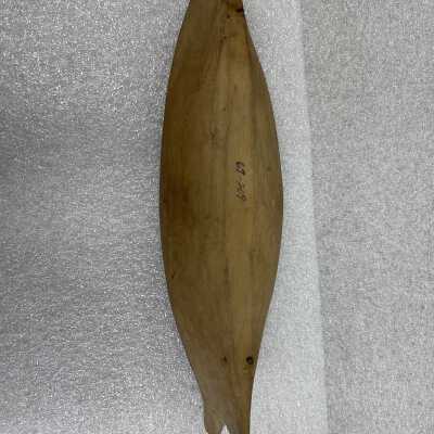 Canoe