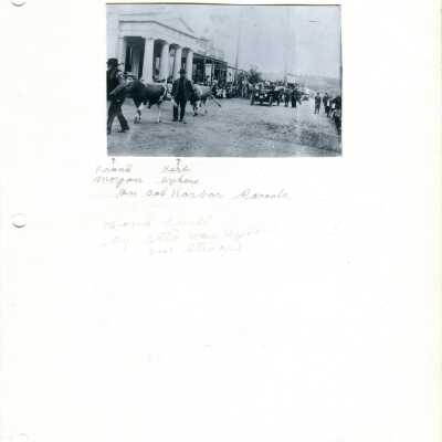 Photograph