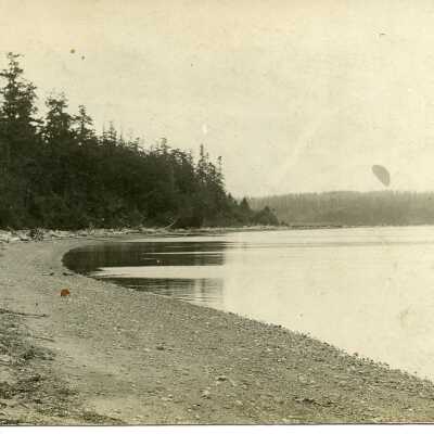 Postcard, Photographic, Photographic