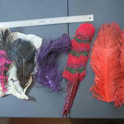 Feathers/Boas - Clothing Accessory