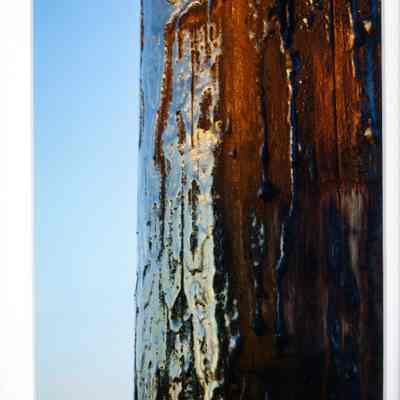 Weathered by June