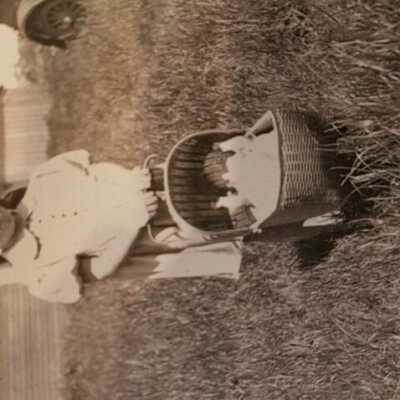 Photo buggy: Copyright: 7