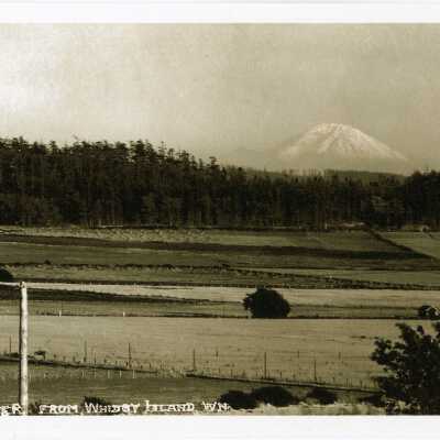 Mt. Rainier