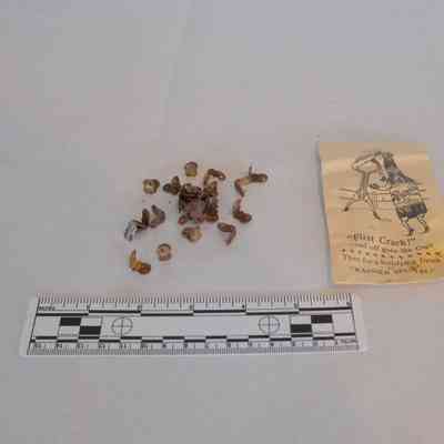 Stiff-front shirt pins