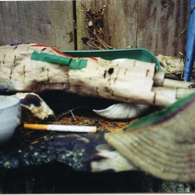Photograph