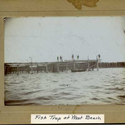 Photograph