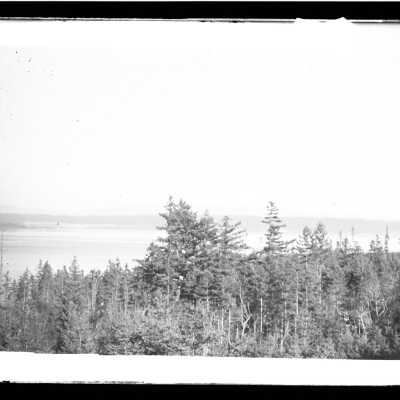 Negative, Glass-plate