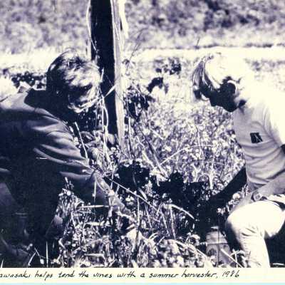 Photograph
