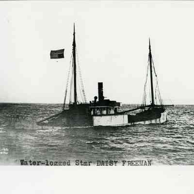 The "Daisy Freeman"