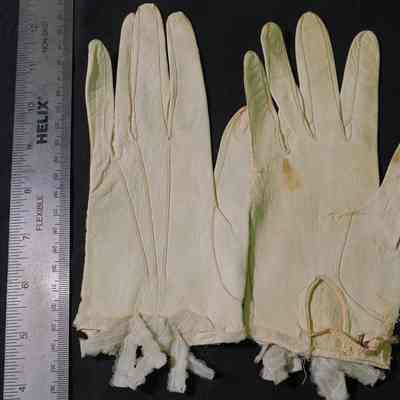 Glove