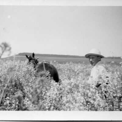 Print, Photographic